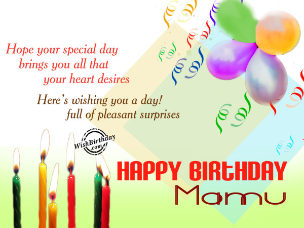 Wishing you a very happy birthday mama ji