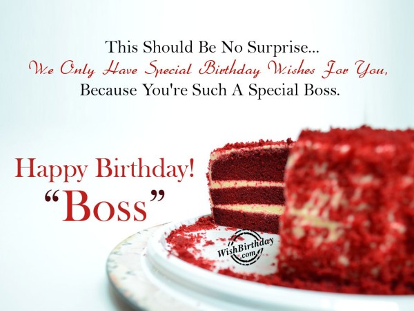 You-Are-Such-A-Special-Boss