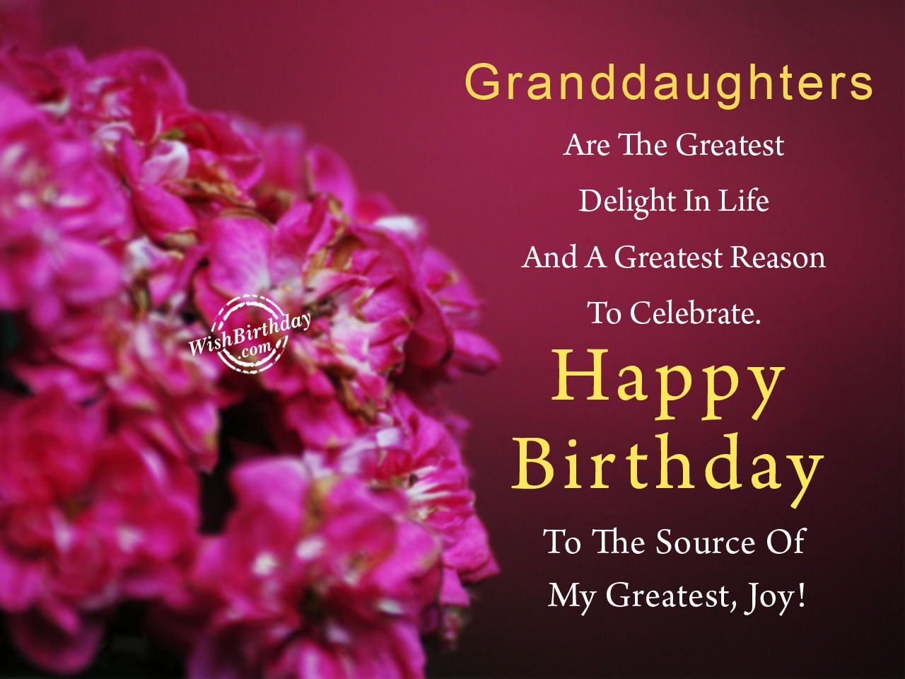 Birthday Wishes For Granddaughter Birthday Images, Pictures