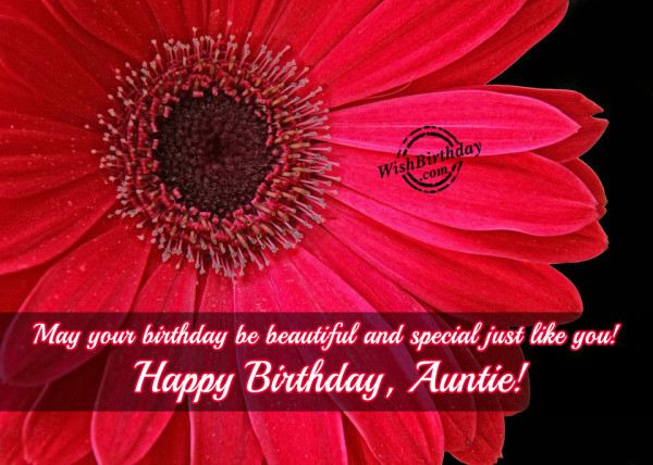 May Your Birthday Be Special Just Like You Aunt