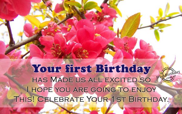 Celebrate Your First Birthday