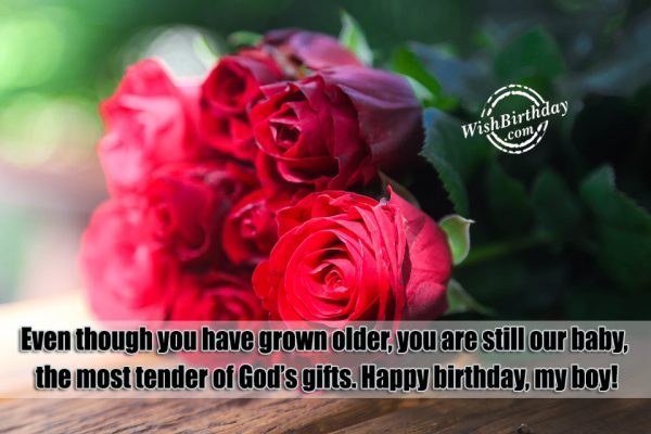 The Most Tender Of God's Gifts - Happy Birthday Boy-wb64