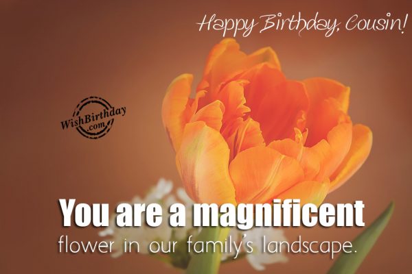 You Are A Magnificent Flower - Happy Birthday Cousin-wb26